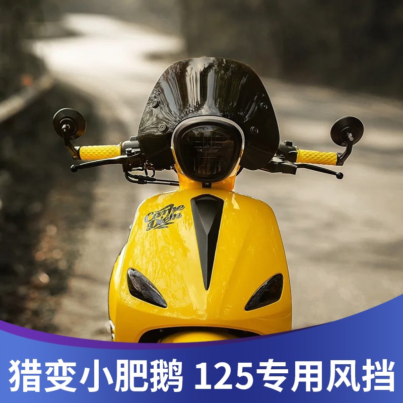 047 适用于猎变霓12s5改装风挡小肥鹅125前挡风复古风镜配件护胸