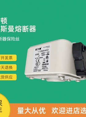 全新快速熔断器保险170M6463 170M6C464 170M6465 170M6466