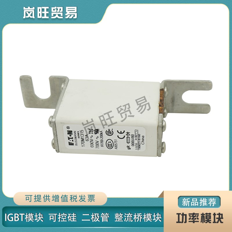 快速熔断器170M1315 1316 1317 1318 1319 1320 1321X 1322保险丝