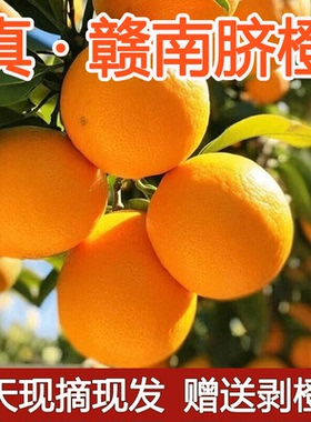 正宗赣南脐橙当季水果10斤装大果新鲜橙子江西赣州甜橙产地直发