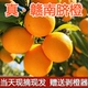 正宗赣南脐橙当季 水果10斤装 大果新鲜橙子江西赣州甜橙产地直发