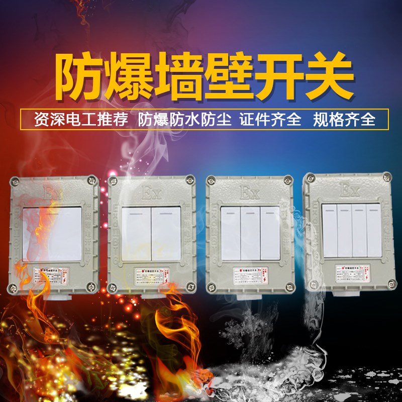 工业防爆照明墙壁开关面板单控双控一二三四开铸铝插座五孔220v