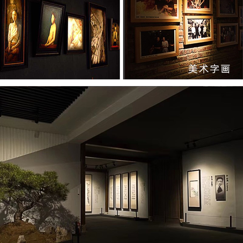 调焦LED轨道射灯博物馆美术馆展厅照字画轨道灯 背景墙服装店射灯