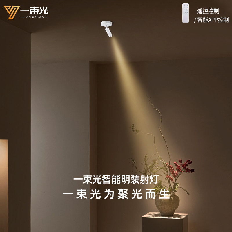一束光聚光射灯智能明装客厅家用茶室摆件绿植字画餐厅玄关吸顶灯,家装灯饰光源,明装射灯,淘宝优惠券,粉丝福利购,淘宝优惠卷