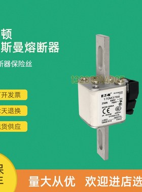全新快速熔断器保险170Mm3772 170M3773 170M3808 170M3808D