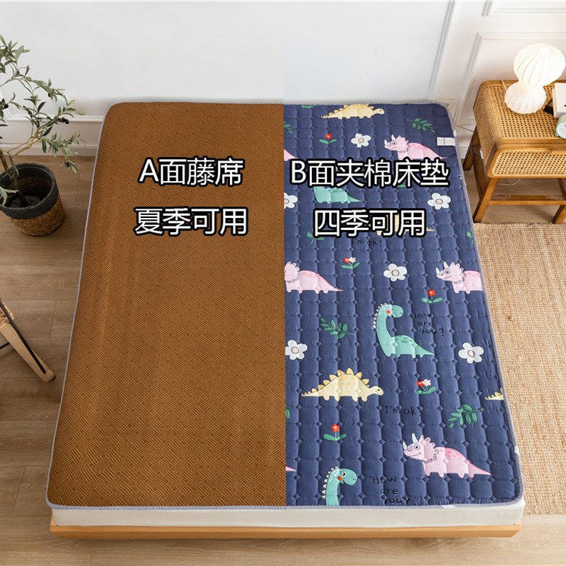 凉席床垫家用双两面藤席凉席冬夏季两用草席折叠学生宿舍单人软垫