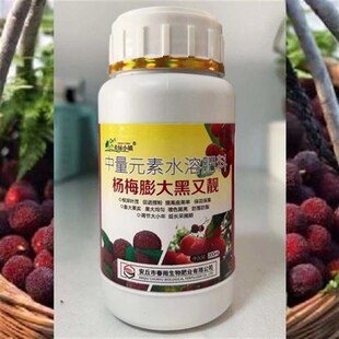 杨梅专用膨大素肥料专用肥 生长调节剂植物叶面肥 果树增甜黑亮
