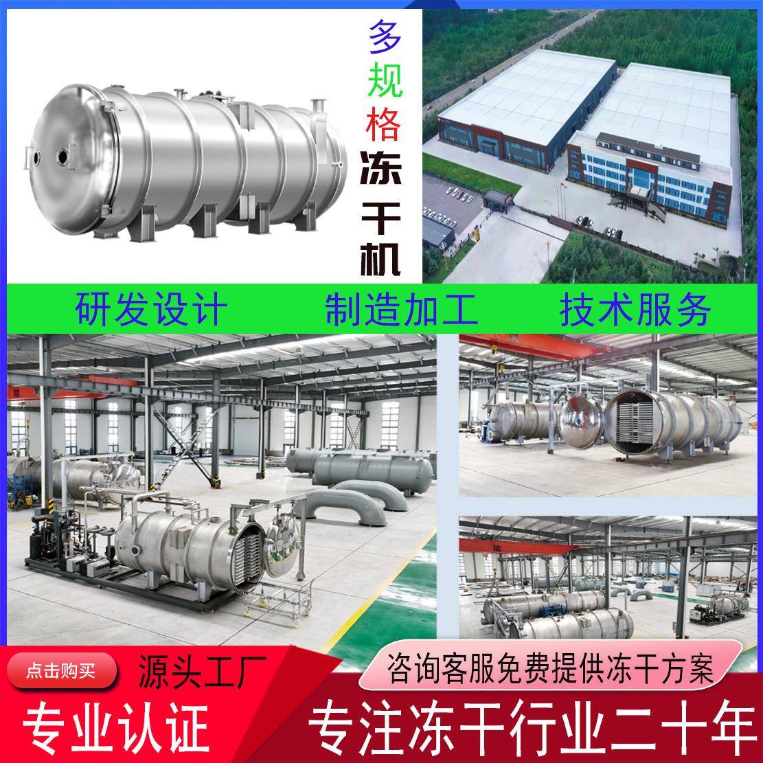 整颗银耳冻干机菌菇全自动低温冷冻干燥机羊肚菌真空冻干机