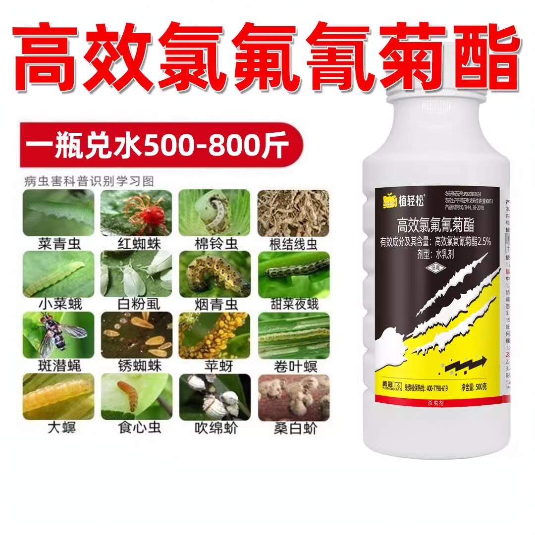 高效氯氟氰菊酯花卉果树蔬菜青蚜虫正品毒地下害虫死蜱农药杀虫剂图片