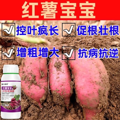 红薯宝宝叶面肥控旺防裂果畸形地下根茎膨大素中量元素水溶肥