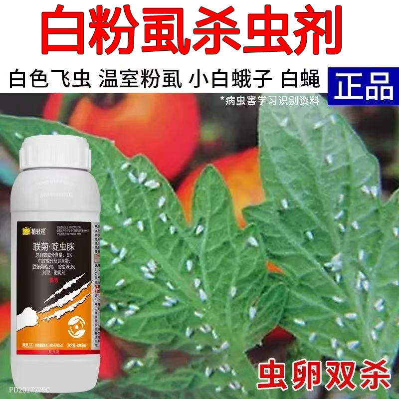 白飞虱白粉虱农用药杀虫剂小飞虫辣椒黄瓜蔬菜白粉虱花卉蔬菜农药