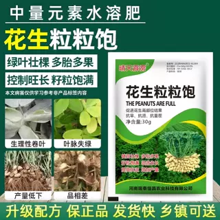 花生矮壮粒粒饱满抗病壮棵壮苗籽粒饱满控旺膨壮药含氨基酸叶面肥 - 实物图