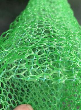 护坡用绿色塑料维草植被网 EM三3土三工网垫河道3.8护坡加筋维植