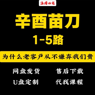 辛酉苗刀1-5路八级武者完整视频教学纪老师