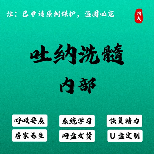 吐纳洗髓内部课程呼吸动作要点古法易筋经养生内功系统学习U盘