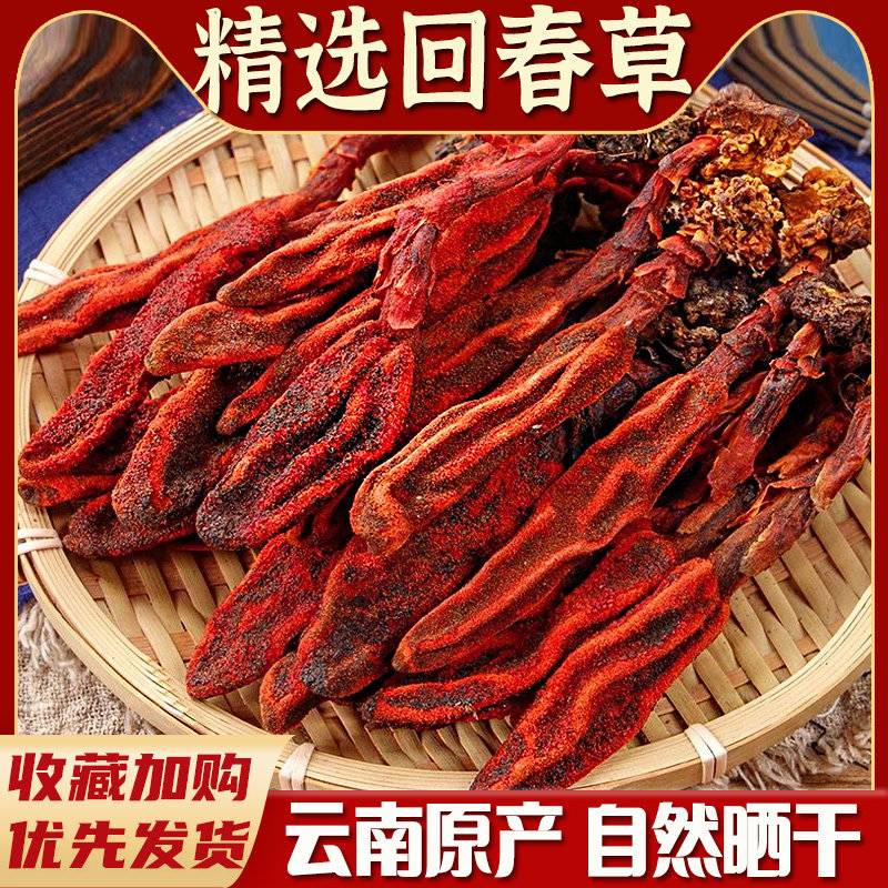 顶天柱回春草云南泡酒中药材500g不老草其阳草男性滋补泡水茶新货