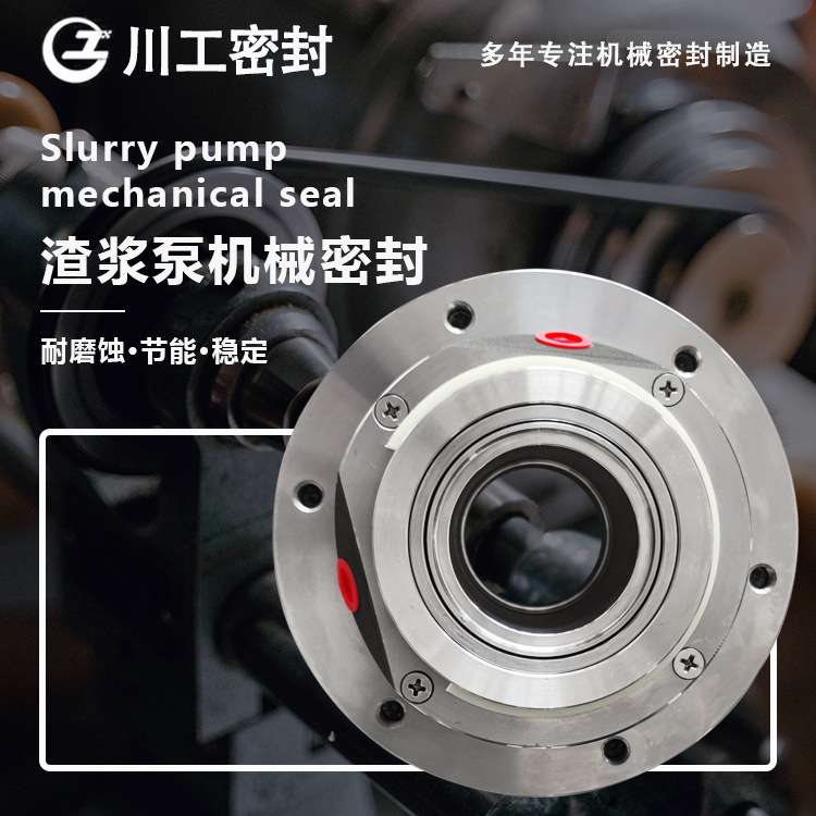渣浆泵专用机封 R40HS-B\LC65/350I 机械密封型号及规格尺寸意思