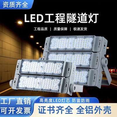 亚明LED隧道灯模组投光灯200W300W户外防水足球篮球广场高杆路灯