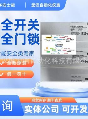 EUCHER安士能090964 NZ2RS-538SVM5安全开关090969 NZ1HB-3131-M