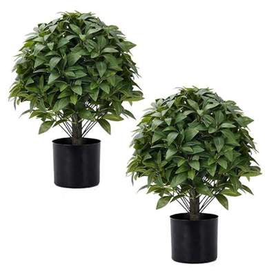 仿真植物黄杨木塑料杨梅叶人造盆栽球树户外内灌木前大亚马逊摆件