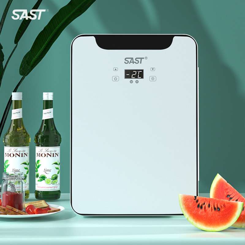 SAST迷你车载小冰箱冷冻冷藏保鲜办公室出租房学生宿舍小型冰柜