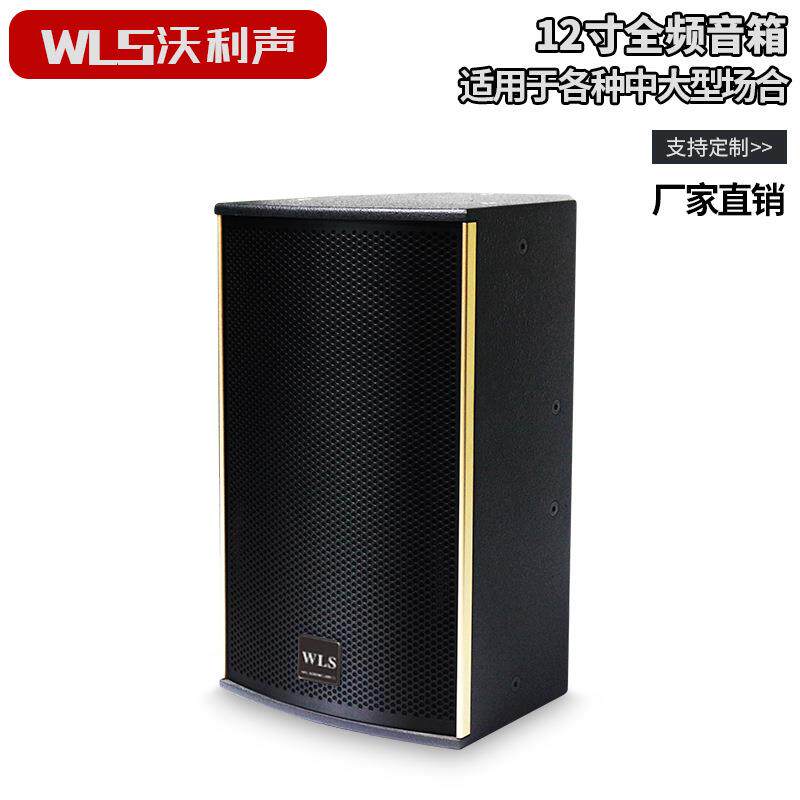 12寸全频专业音响 酒吧卡拉ok舞台音箱 婚庆户外演出音响厂家
