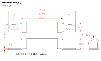 A181001-60,A181001-80,A181001-70,A181001-50(1000V)ASTM熔断器