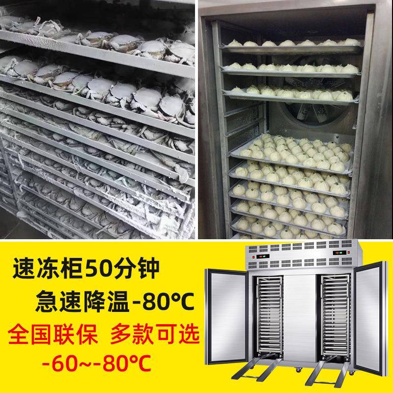 零下45度商用速冻柜速冻机小型急冻冷柜海参包子饺子风冷低温冰箱