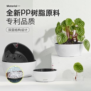 大口径多肉d大盆北欧简约懒人自吸水植物花盆树脂家用绿植盆景盆