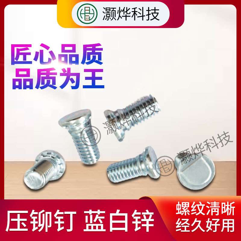 机牙铆钉 蓝白锌 连接 厂家供应机械设备连接铆钉现货