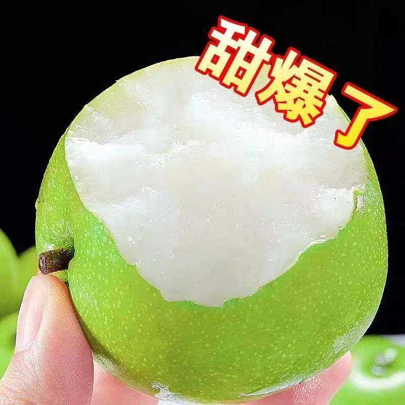 特大嫁接青皮脆甜冰糖梨树