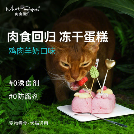 肉食回归宠物生日蛋糕猫咪生日蛋糕狗狗生日蛋糕冻干蛋糕鸡肉羊奶