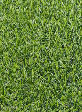 仿真草坪儿园垫子工草造塑料草皮OAY户外阳人人台市幼政工程装饰