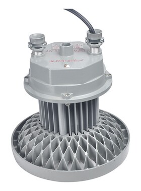 DGS100/12D7L(A)矿用隔爆型LE圆DGS100/1D巷道煤灯形LE照明灯矿专