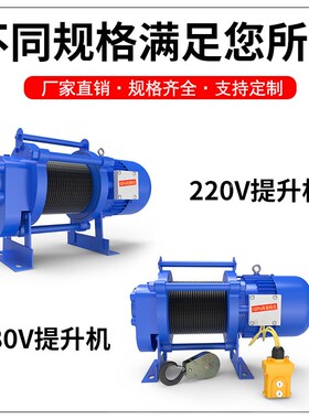 卷扬机提0升DTE机20v8v1吨2吨家用型吊机小建筑电2动葫芦升降起重