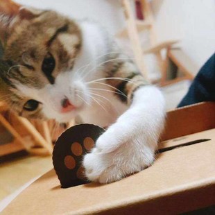 逗猫棒自嗨沙皮狗小猫咪玩具互动地鼠机宠物N用品耐摔铲屎官逗猫