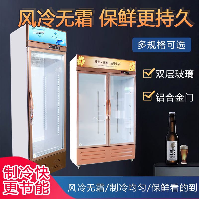 商用饮料柜饭店冷藏啤酒柜商店冷饮柜风冷冰柜玻璃单双门展示柜