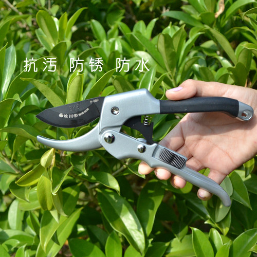 剪枝剪刀果树修剪树枝剪刀花艺剪刀绿化园林修枝剪花椒园艺粗剪刀