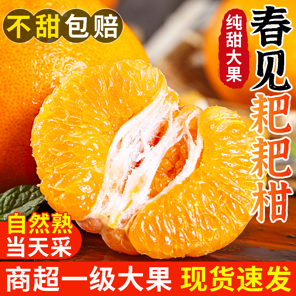 正宗四川春见耙耙柑10斤新鲜水果当季整箱丑八怪橘子特级粑粑柑桔