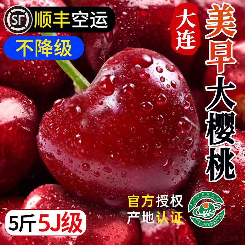 大连美早大樱桃新鲜水果5斤当季4J整箱车厘子珍珠黑孕妇包邮国产3