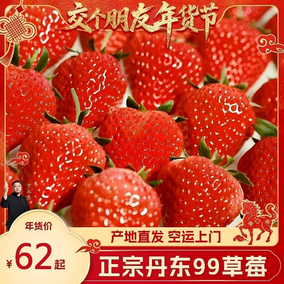 【空运送货上门】正宗丹东99草莓