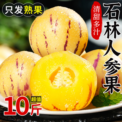 云南石林人参果丨黄肉熟果