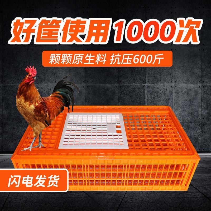鸡鸭鹅鸽子兔笼家用特大号养殖笼新F款鸡笼运输笼塑料周转箱筐厂