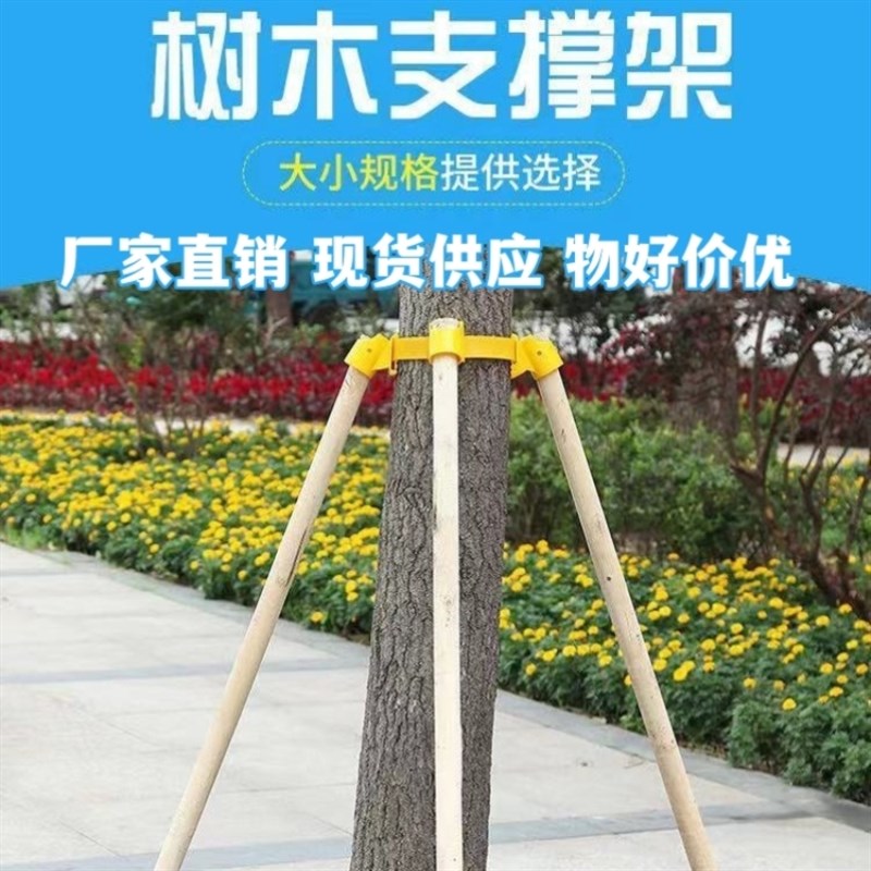 松木工程固定器防风支撑支撑架杉木树木绿化支架棍杨木稳定杆园林