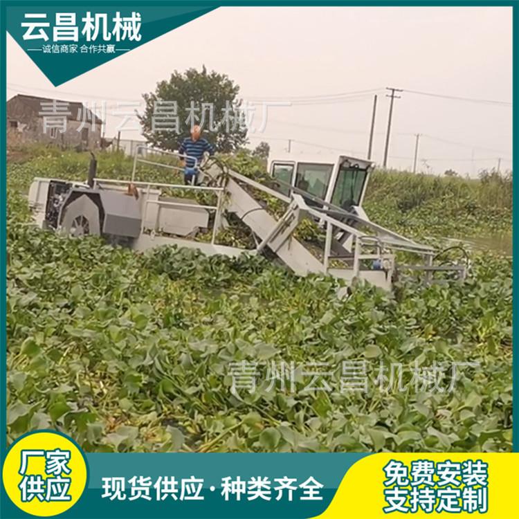 福建水中水草收割割草船 水花生水浮萍打捞船 河道水面清草机械