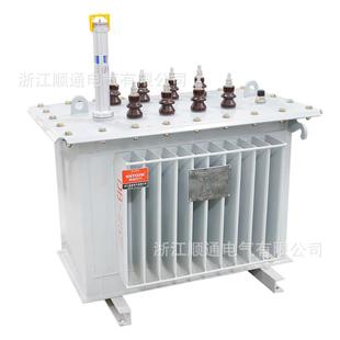 3浸5KV油式 S13 200 100 电A力变压器高压全铜三1相油变全铜芯10