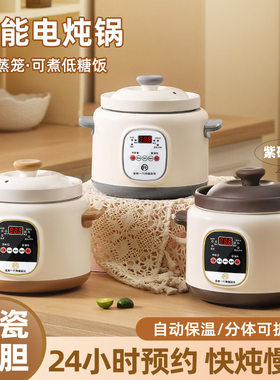 陶瓷内胆电炖锅煮粥锅汤煲锅多功能预约锅炖汤宝宝辅食迷你电炖锅