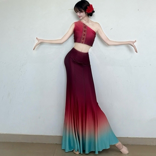 傣族舞蹈演出服女艺考修身鱼尾裙孔雀舞练功服西双版纳民族表演服