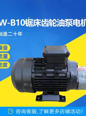 新款CBW-B10锯床齿轮油泵电机组CB-B10/B6/B4/B2.5/B16/B20/B25JZ