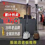 大 大蒸桥汽全铜芯熨烫机立式 域功挂率烫机家用商用服装 店ZUS新款